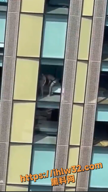 347X618