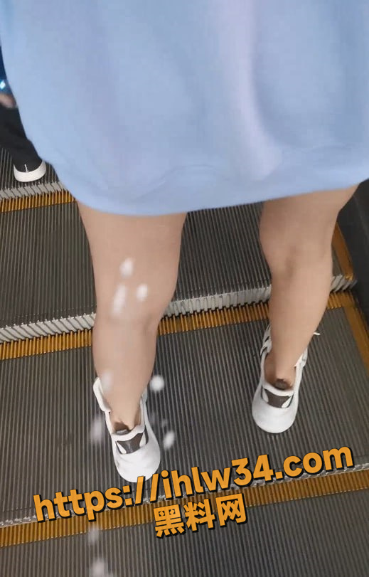 519X811