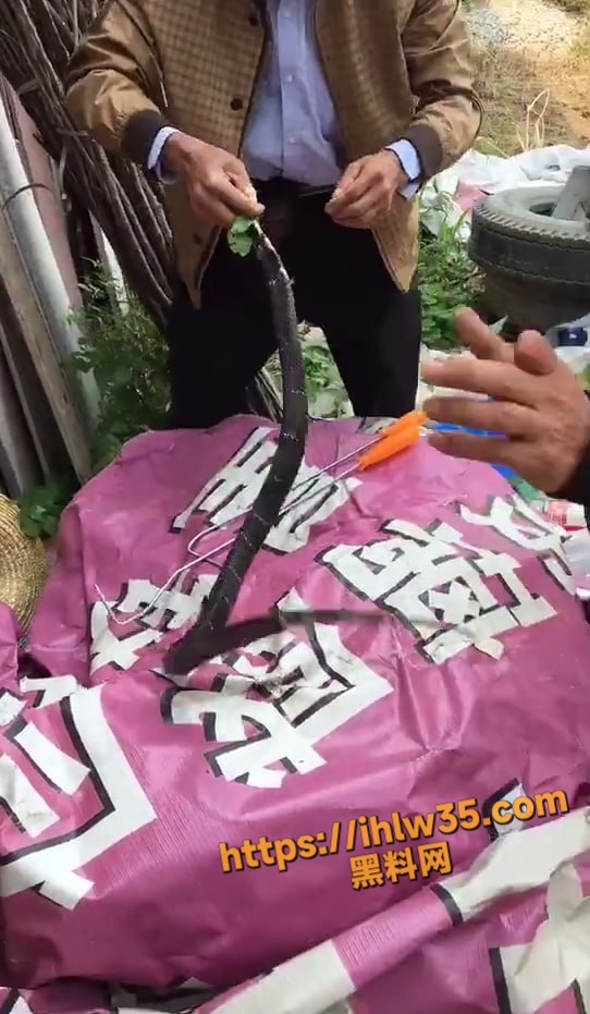 542X931