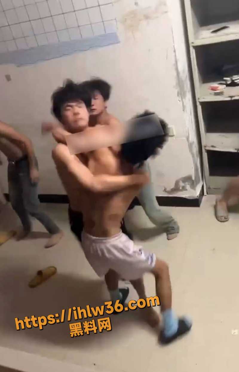 800X1244