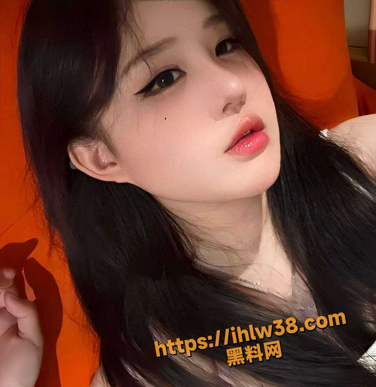 1241X1280
