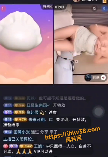 365X529