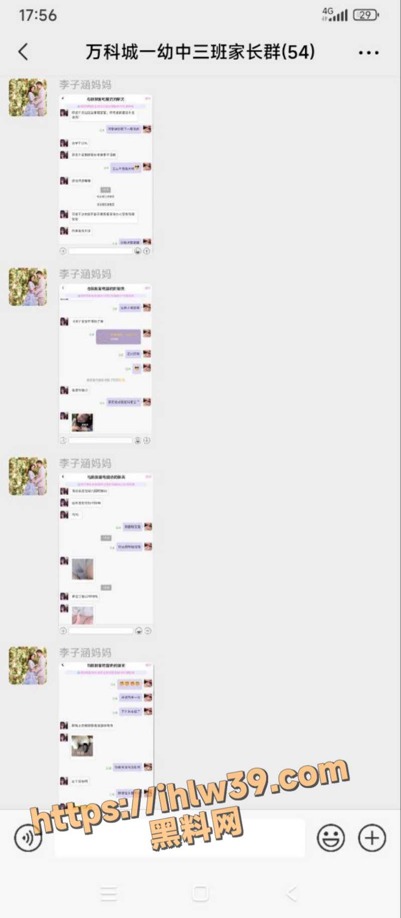 800X1831