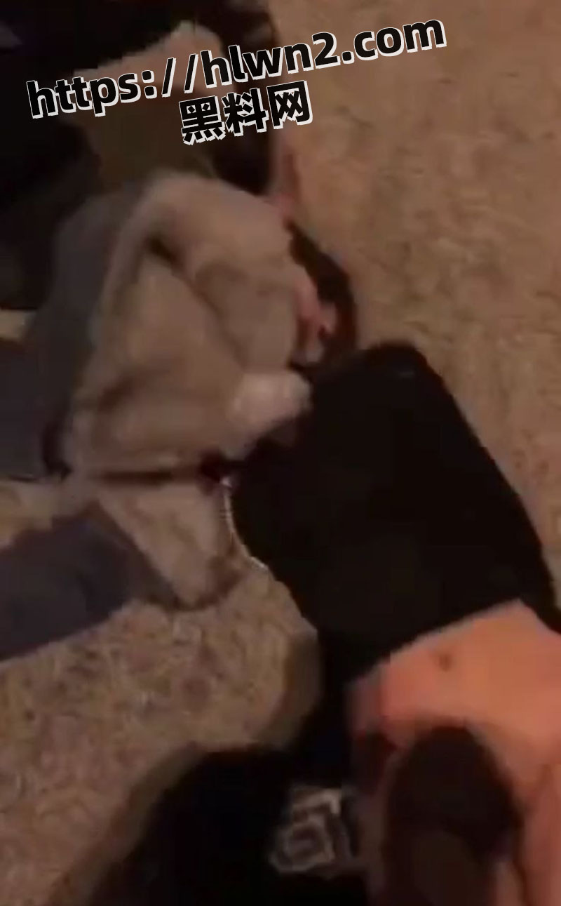 800X1291