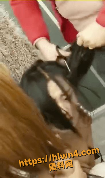 365X619