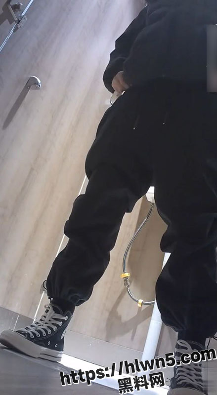 439X800