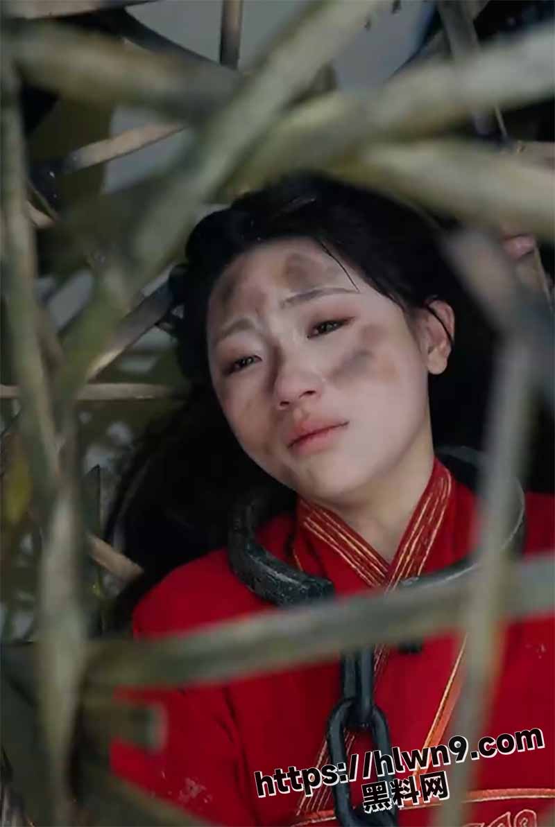 800X1193