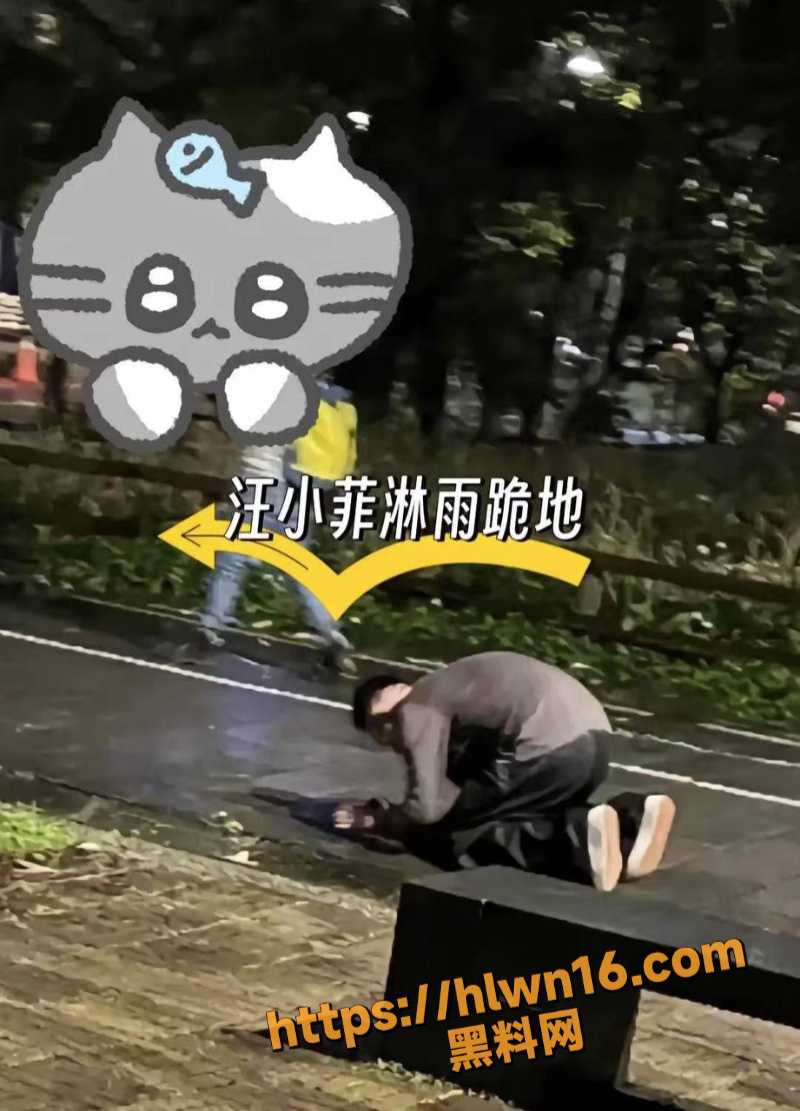 800X1111