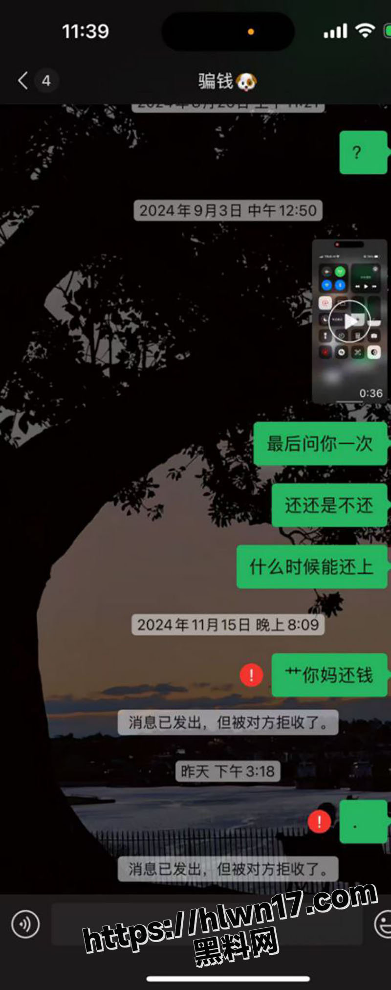 800X2024