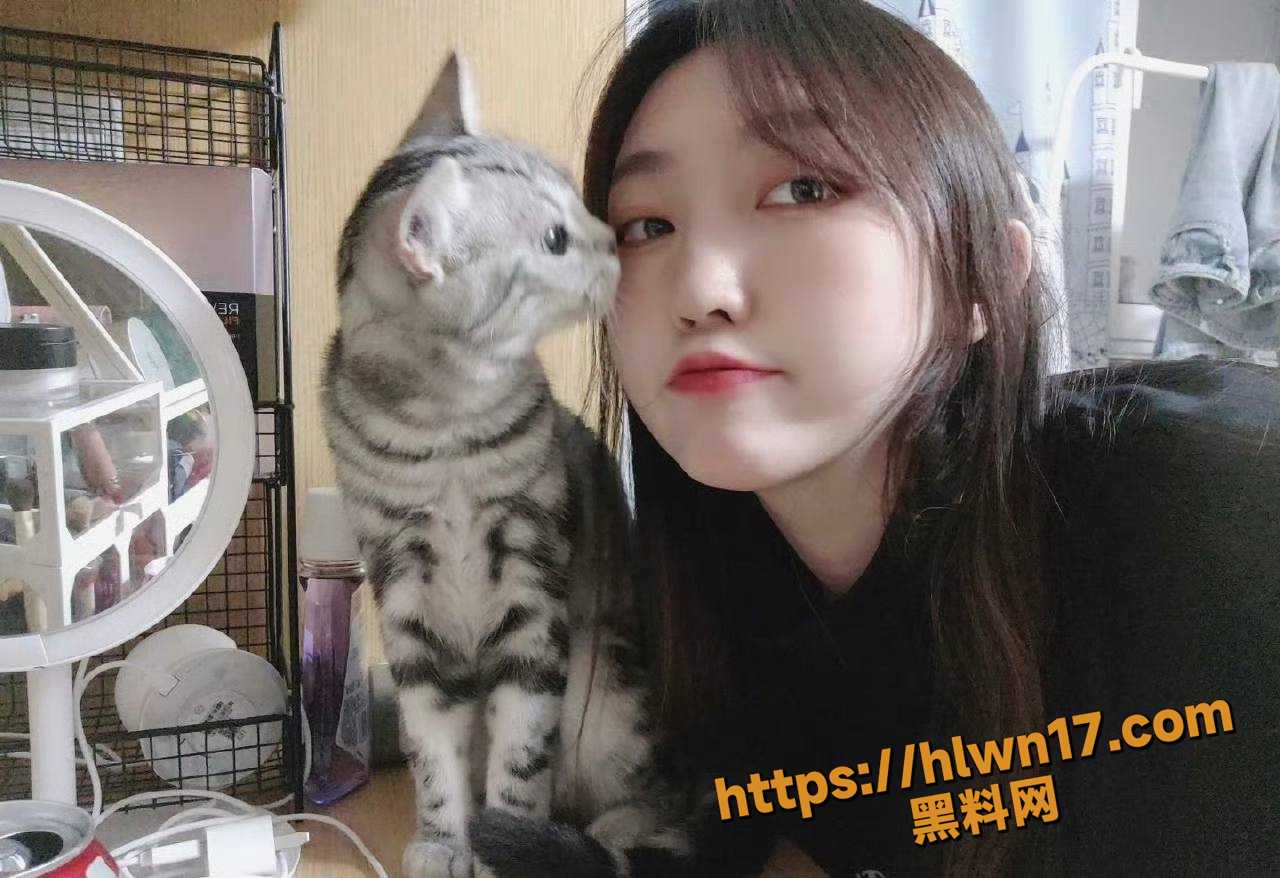 1280X878