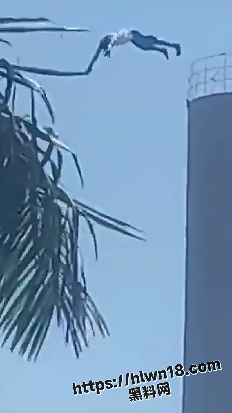 800X1421