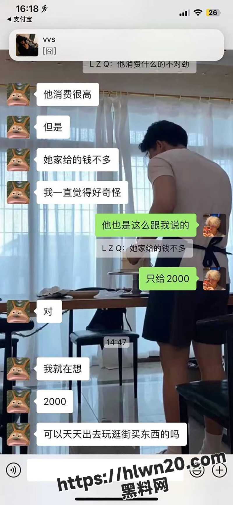 800X1733