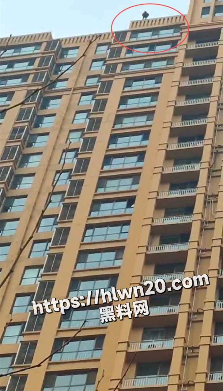 728X1274