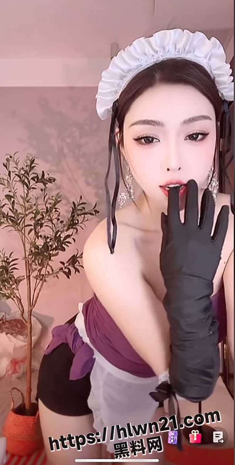800X1579