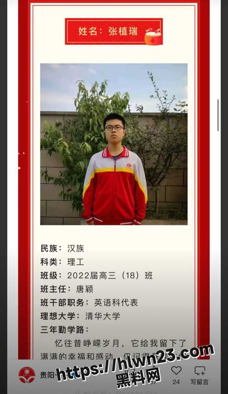 800X1382