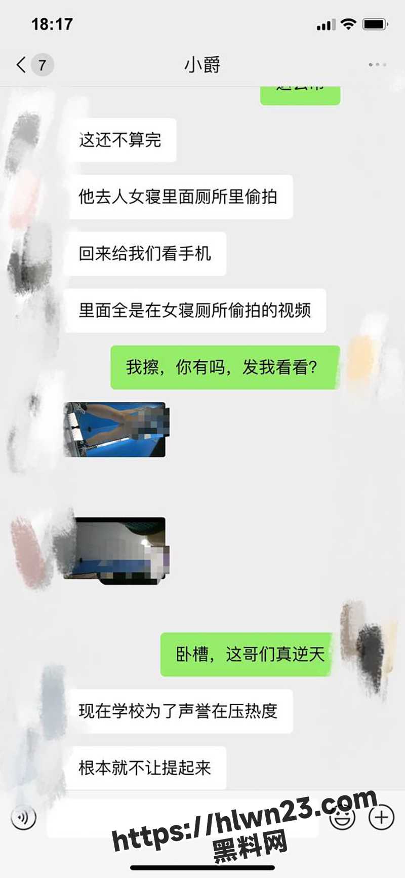 800X1733