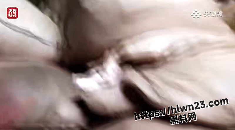 800X441