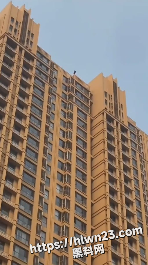 510X910