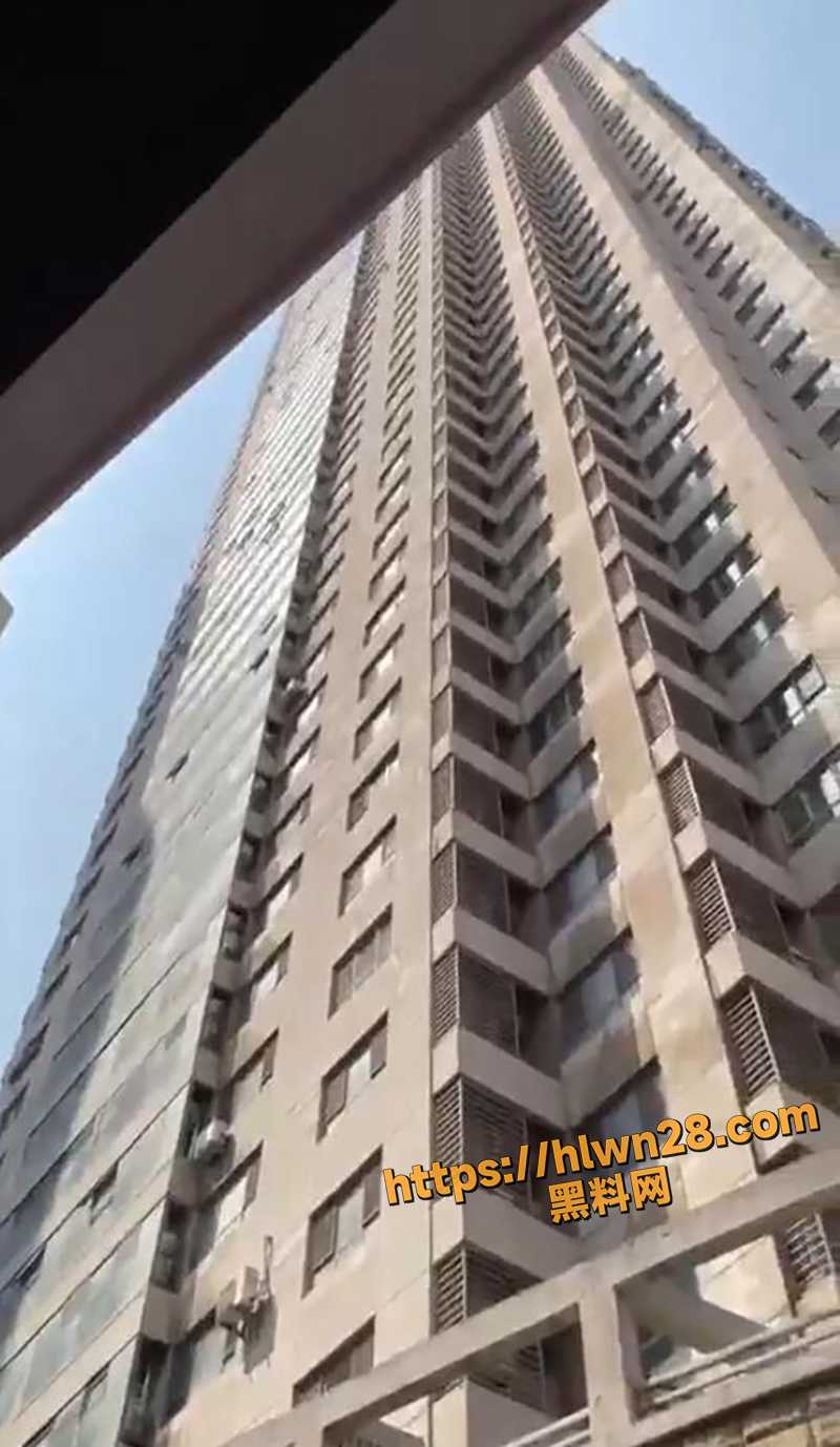 800X1378