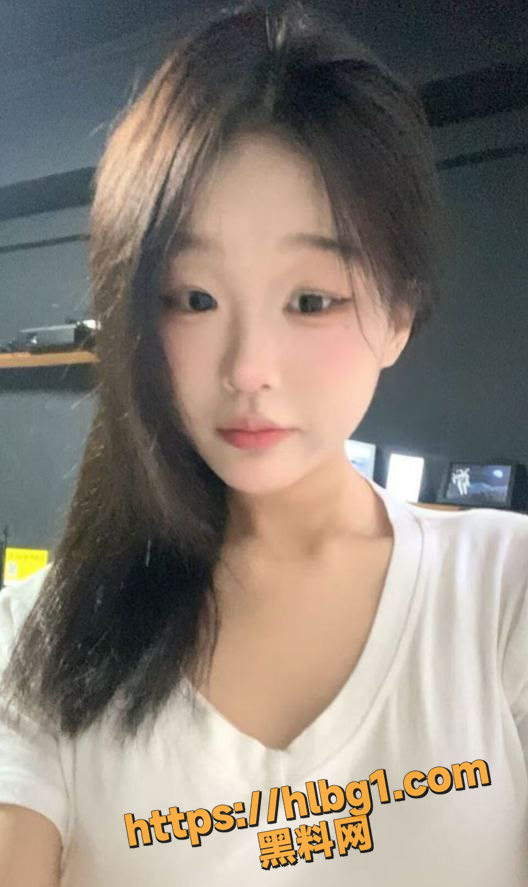 528X887