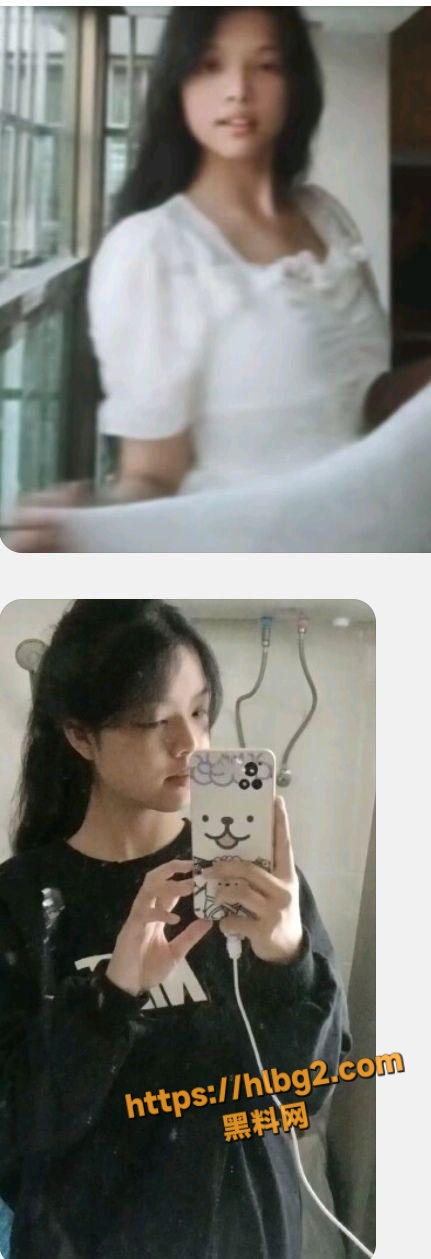431X1259