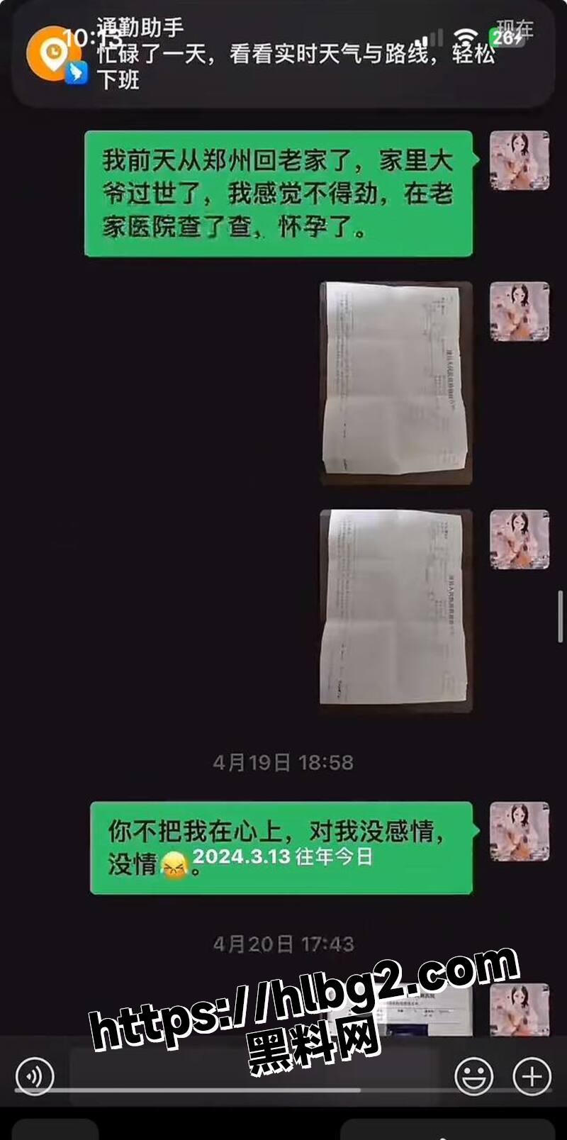 800X1608