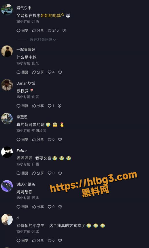 517X862