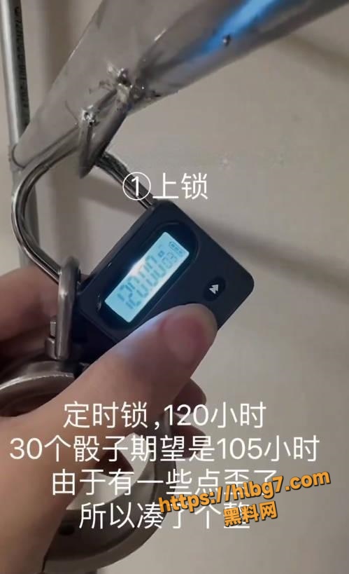 499X819
