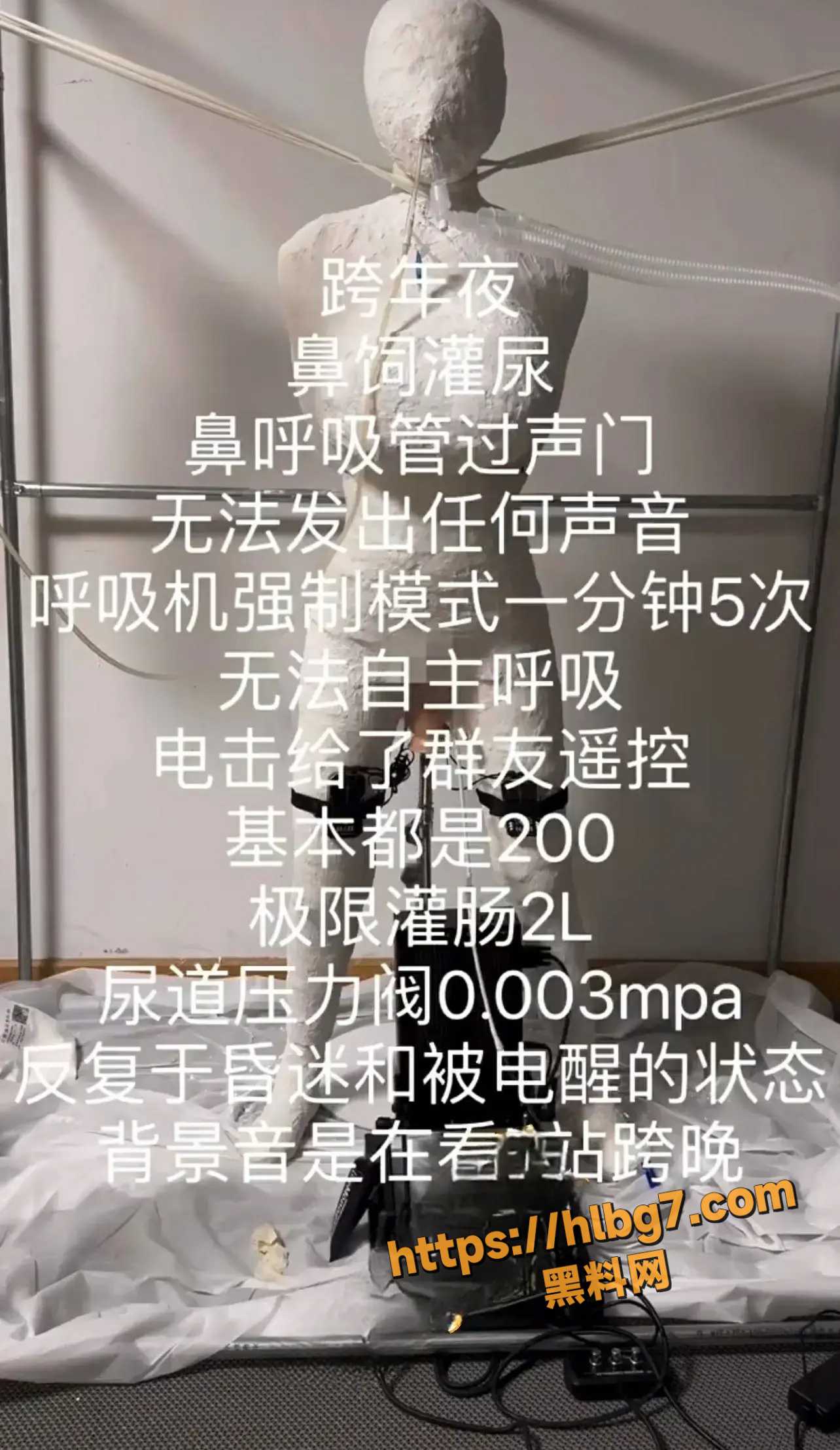 1284X2215