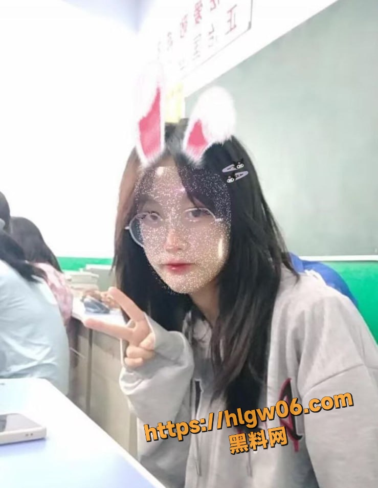 739X954