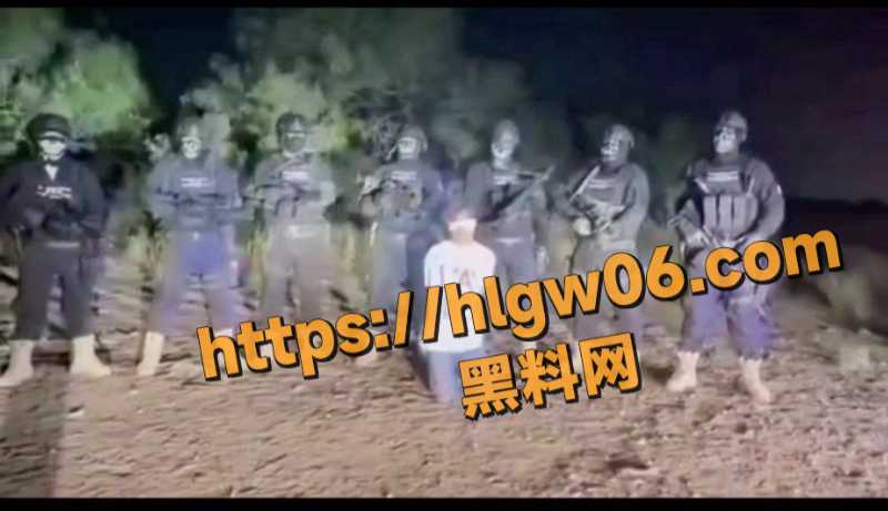 800X461