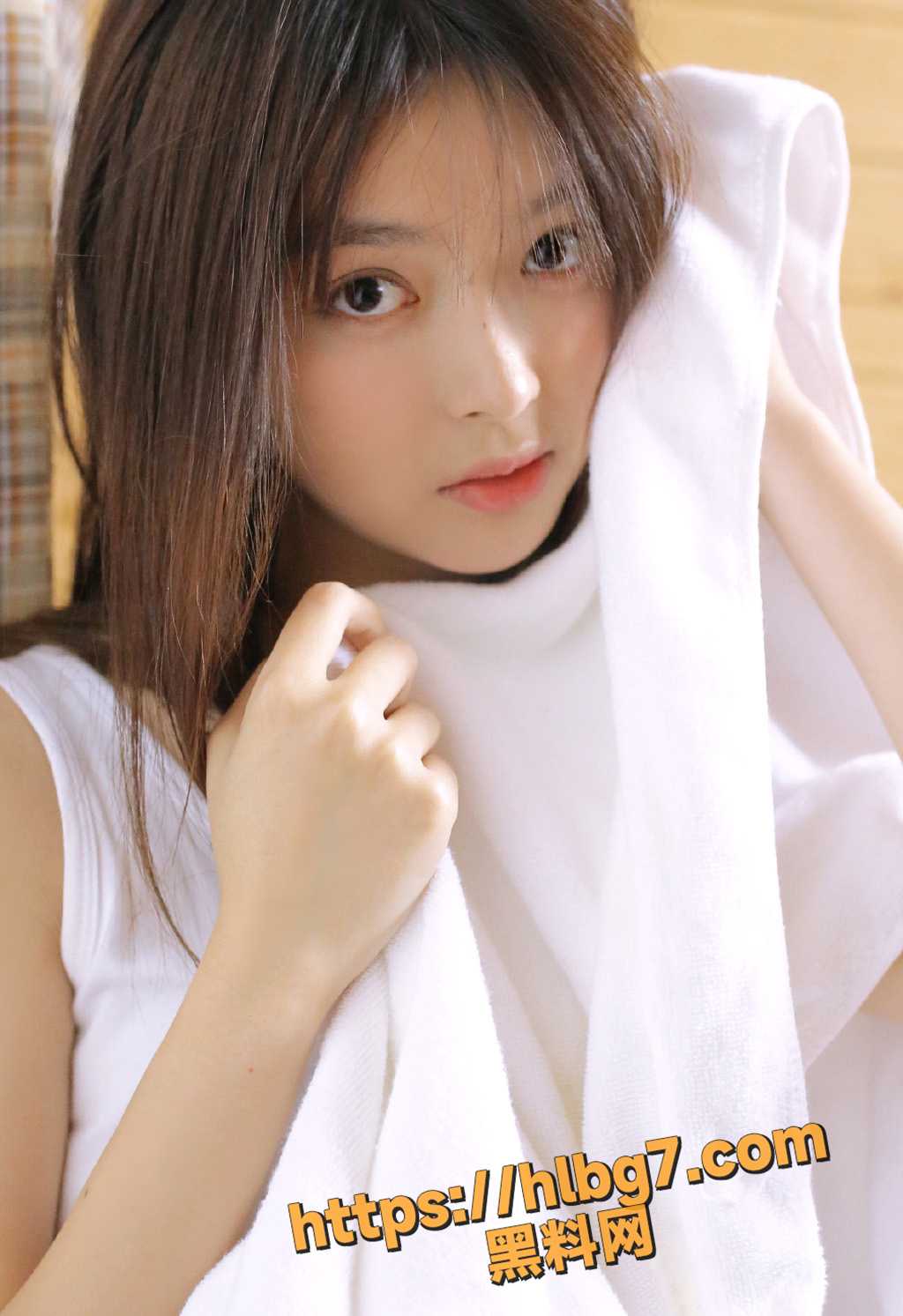 12031