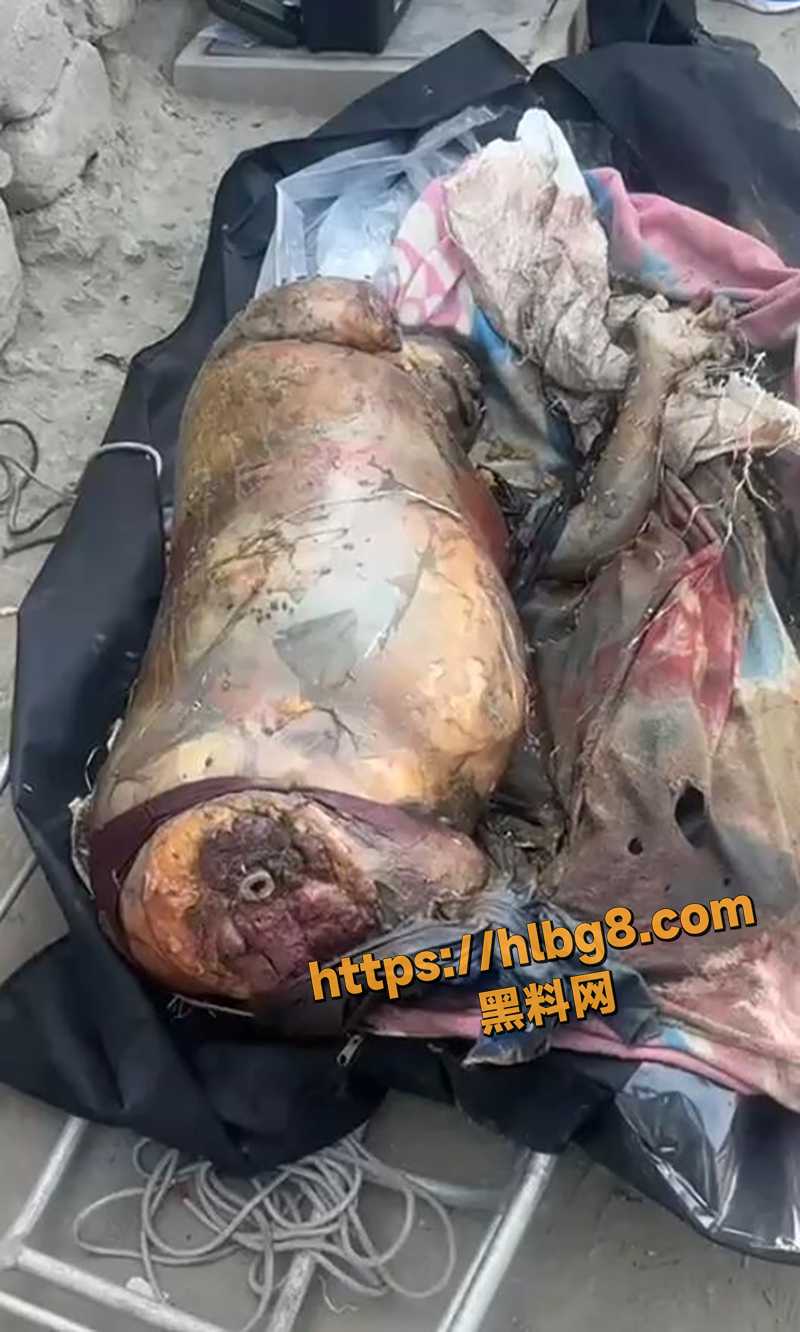 QQ截图20250605165649 拷贝