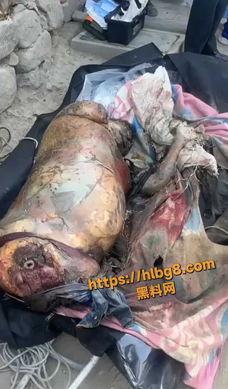 QQ截图20250605165706 拷贝