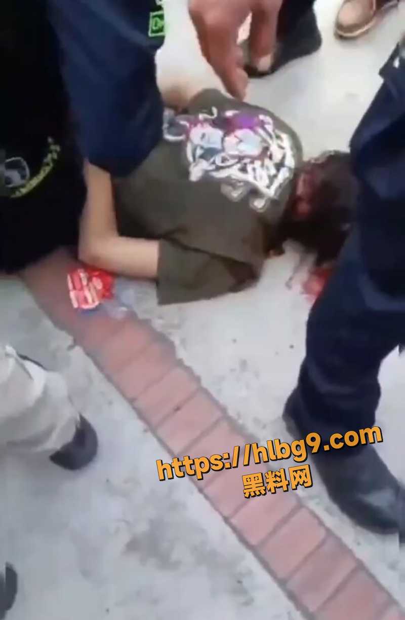 QQ截图20250609132715 拷贝