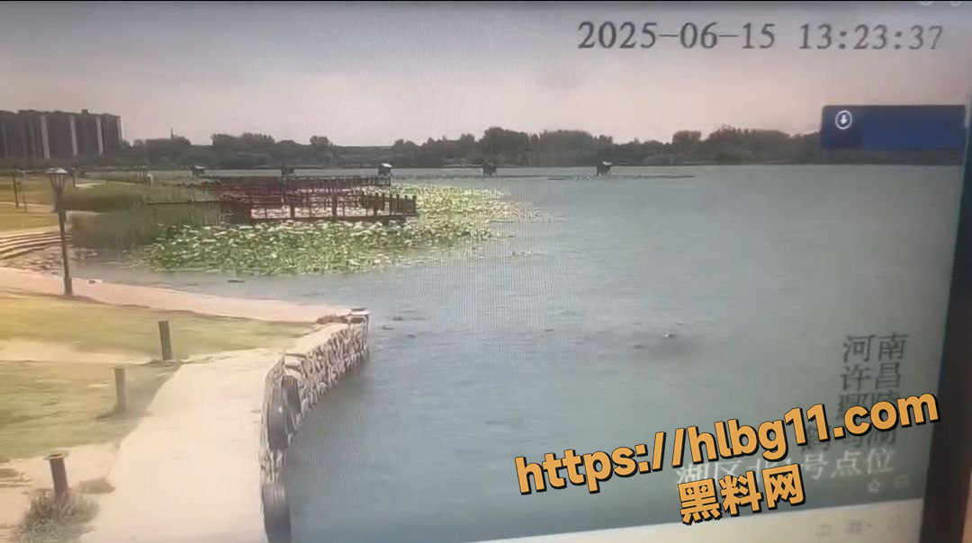 photo420250618194016 拷贝