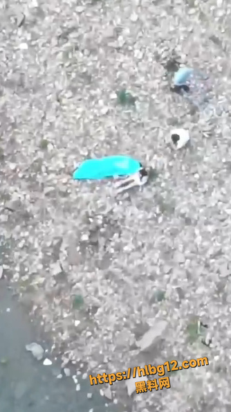 713