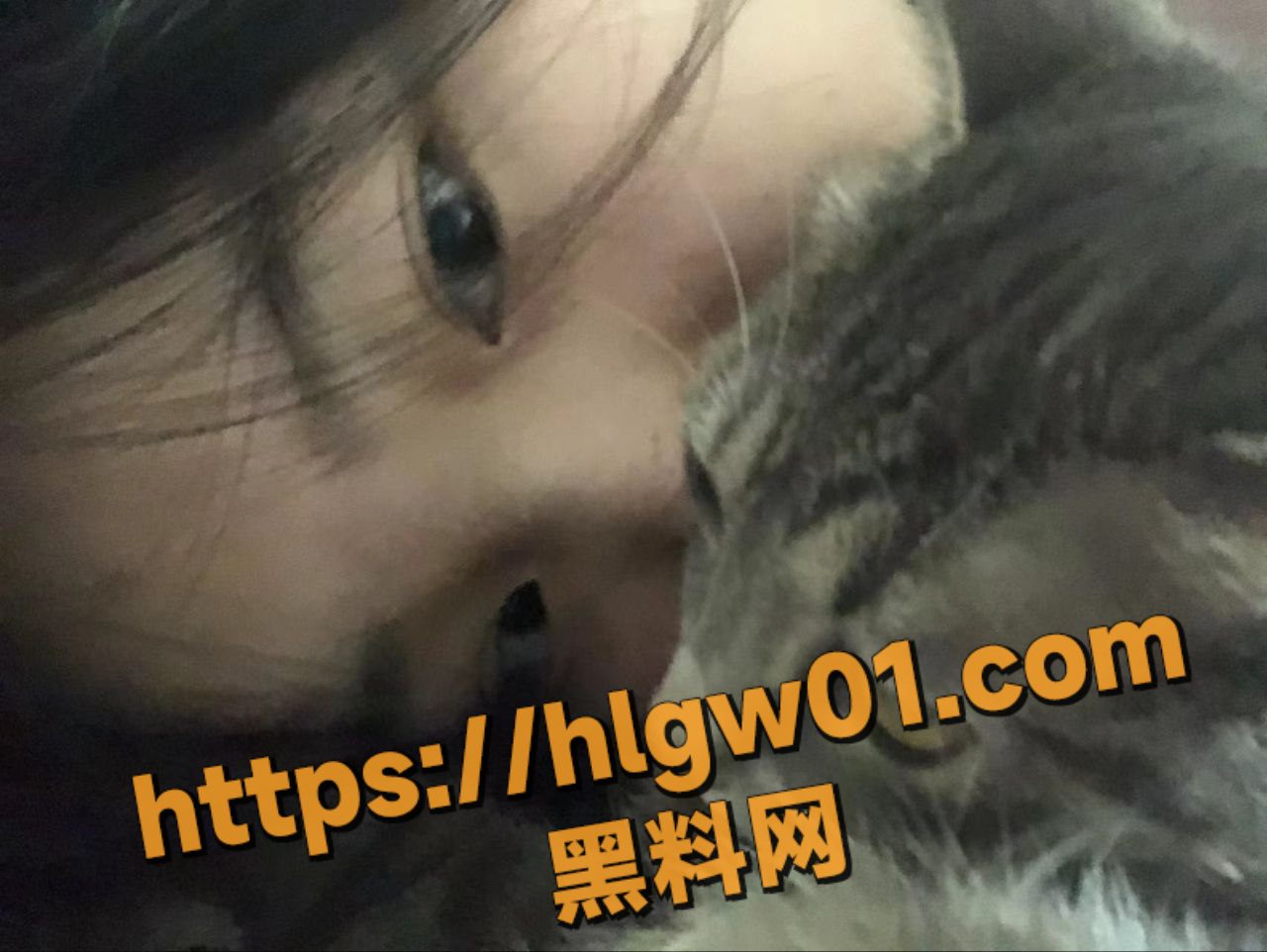 IMAGE 20250801 11:39:35