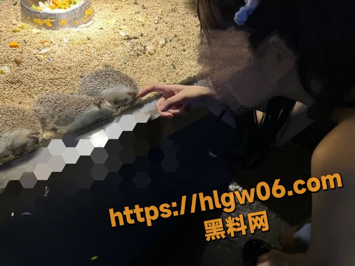 IMAGE 20250821 161408cleanup