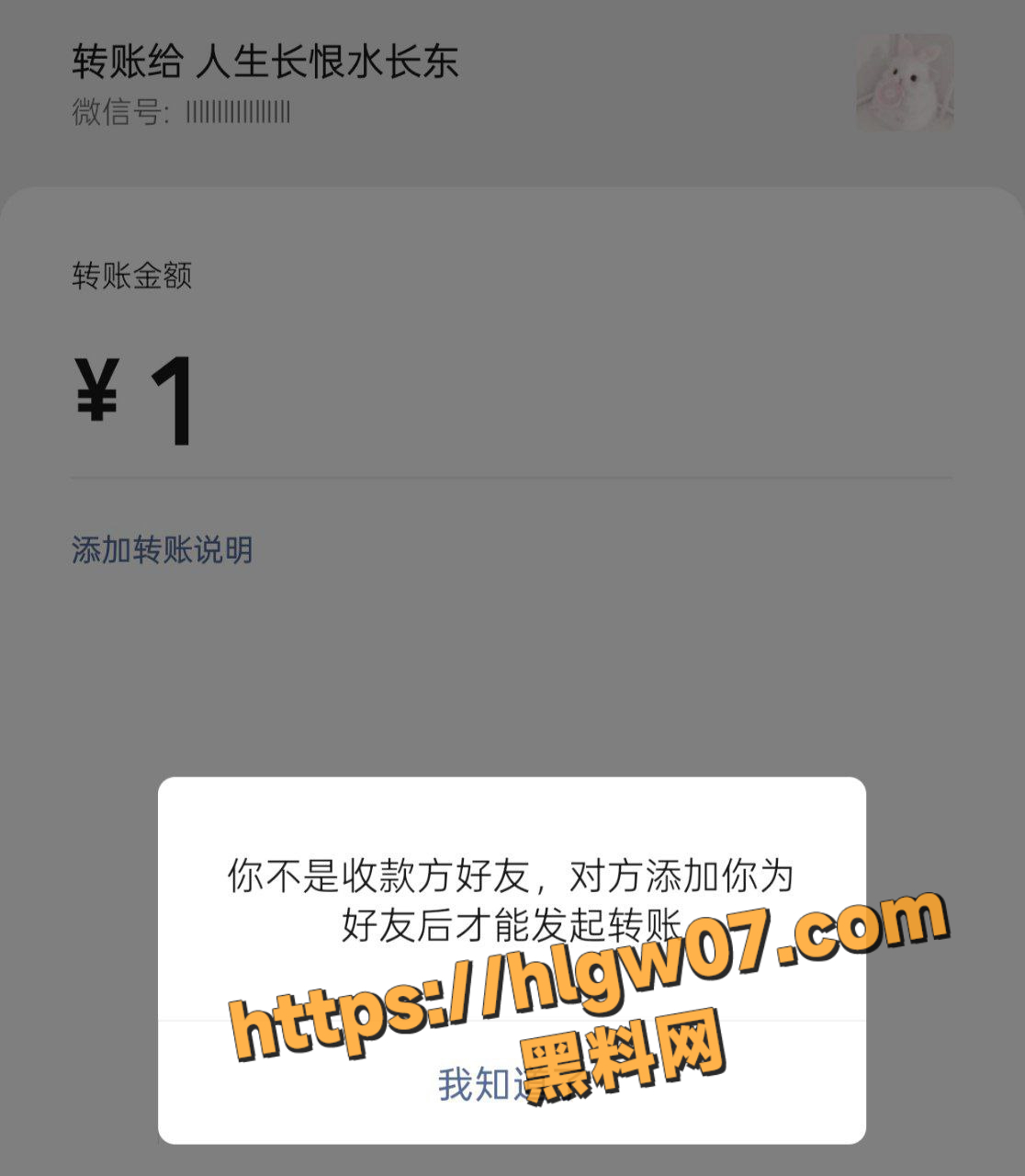 IMAGE 20250826 20:17:17