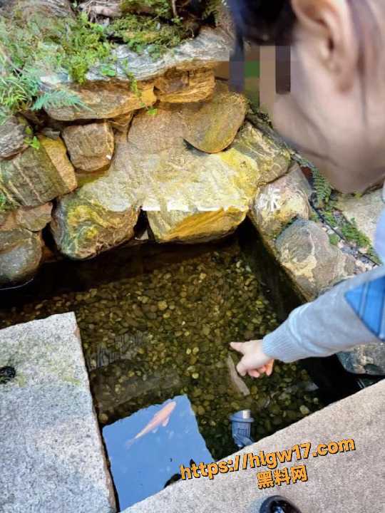 IMAGE 20250925 171859cleanup