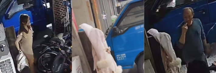 下载