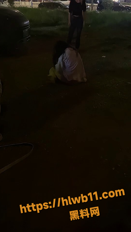 QQ20251201115415
