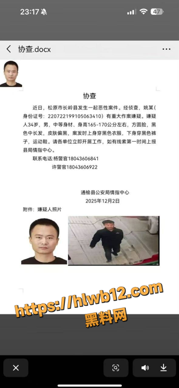 QQ20251203134818