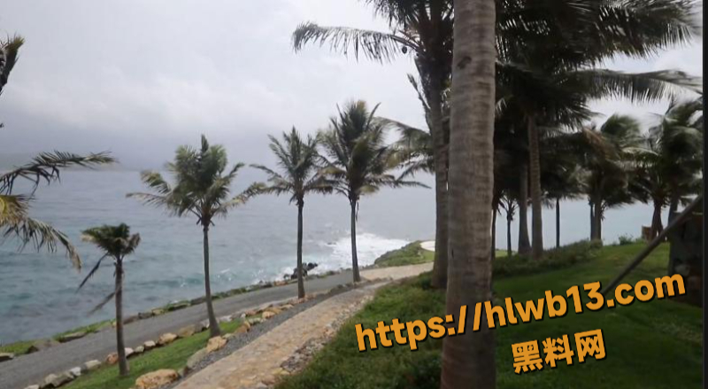 IMAGE 20251205 22:31:50