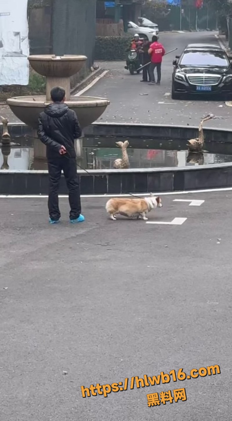外卖小哥跟保安激烈交锋 拖把互攻场面混乱 纠纷虽小易酿大祸 生活不易何必拳脚相加！