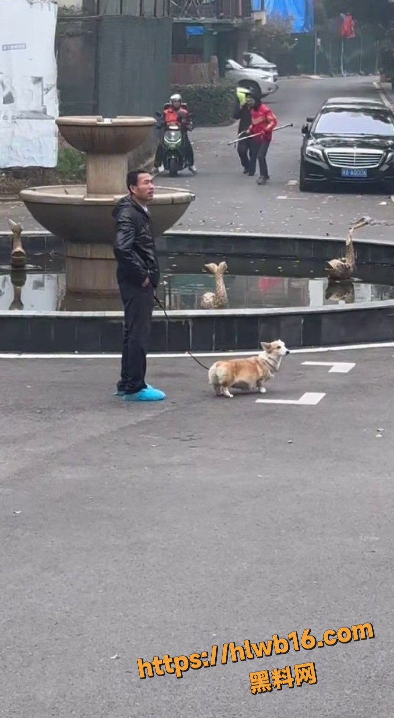 外卖小哥跟保安激烈交锋 拖把互攻场面混乱 纠纷虽小易酿大祸 生活不易何必拳脚相加！