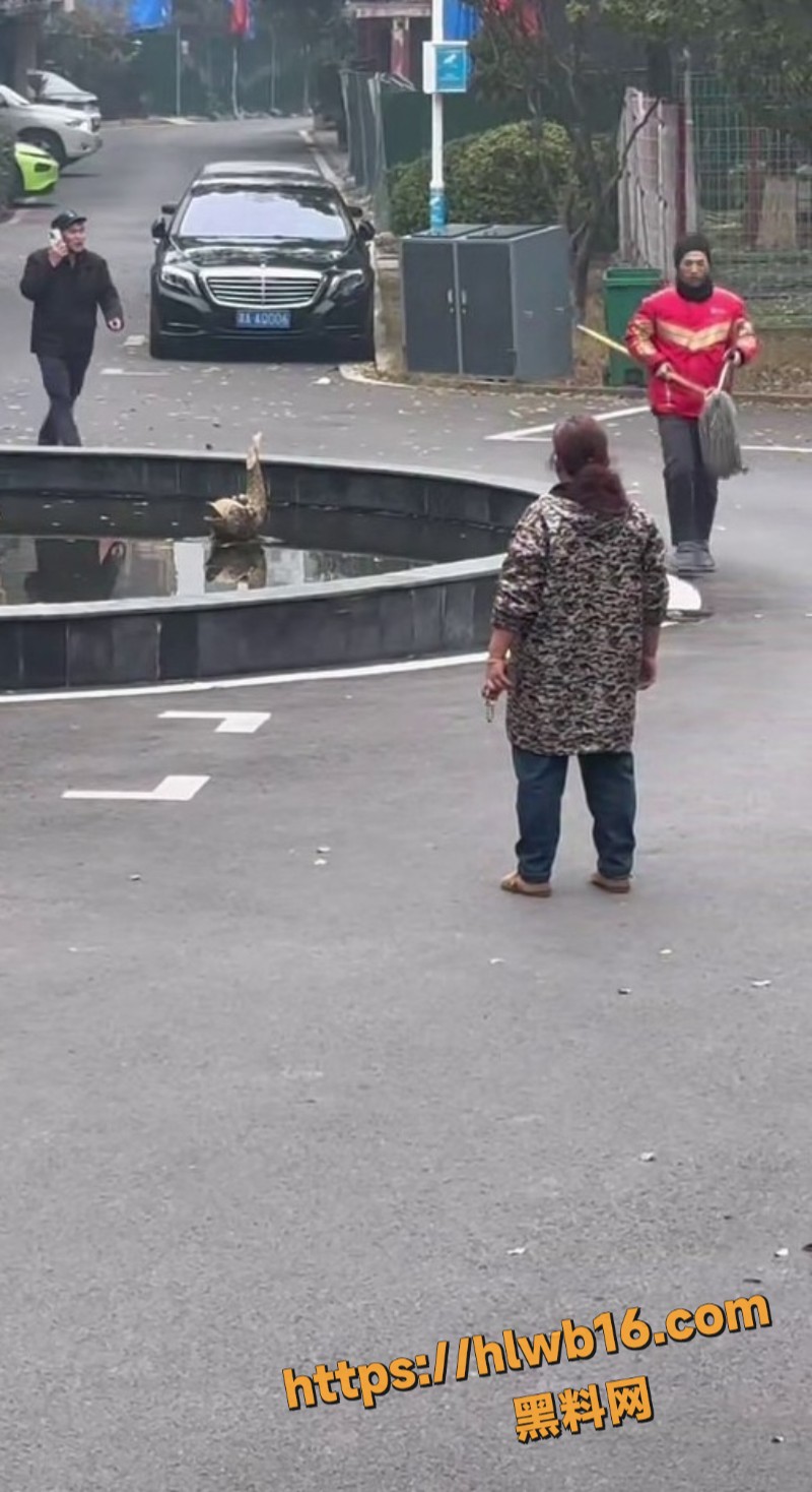 外卖小哥跟保安激烈交锋 拖把互攻场面混乱 纠纷虽小易酿大祸 生活不易何必拳脚相加！