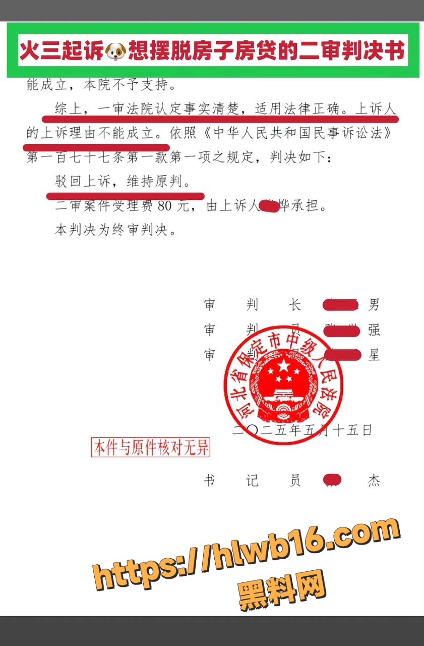 IMAGE 20251215 17:23:03