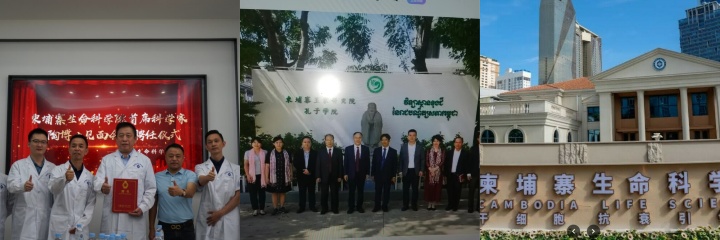 下载